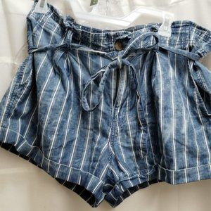 Blue striped American Eagle Outfitters shorts- Size 16